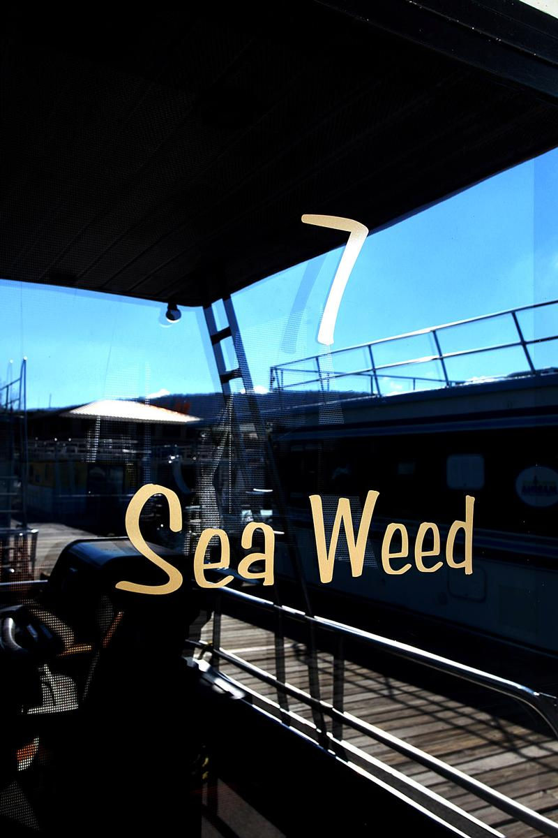 54 Foot Sea Weed Houseboat