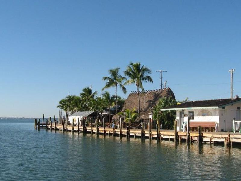 Stroll the marinas dock surrounded by tall palm tress and blue waters Stroll the marinas dock surrounded by tall palm tress and blue waters Photos