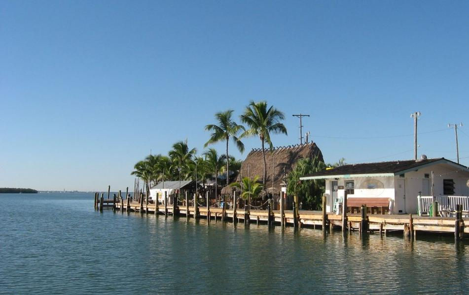 Stroll the marinas dock surrounded by tall palm tress and blue waters