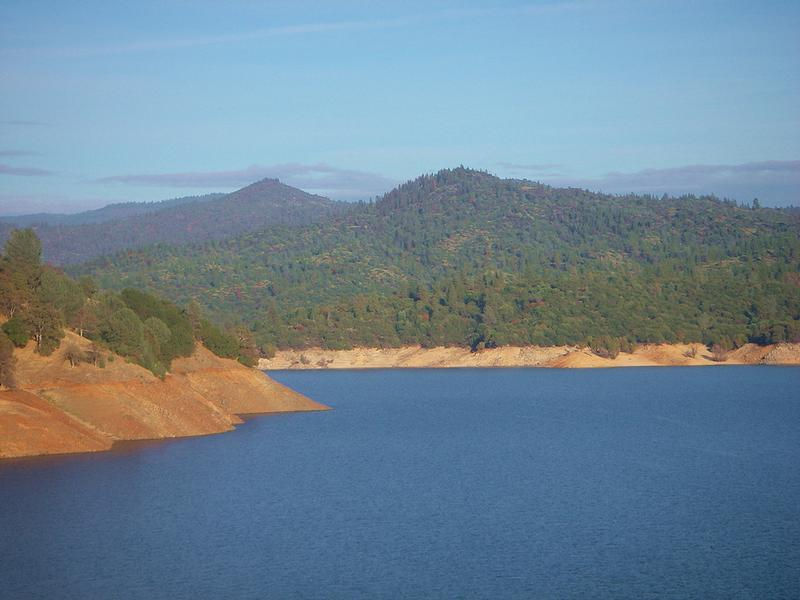 The luscious forests of scenic Lake Oroville