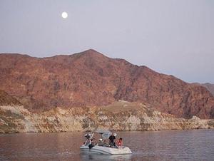 Lake Mead Stripers