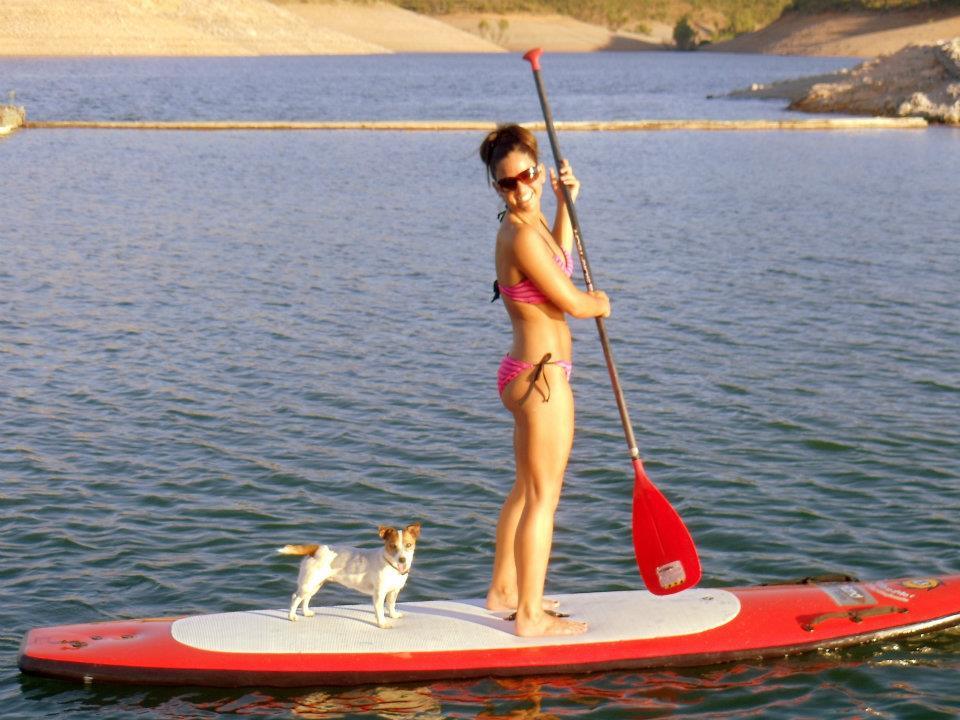 Curious topic lake shasta water level apologise Nice lake shasta water level