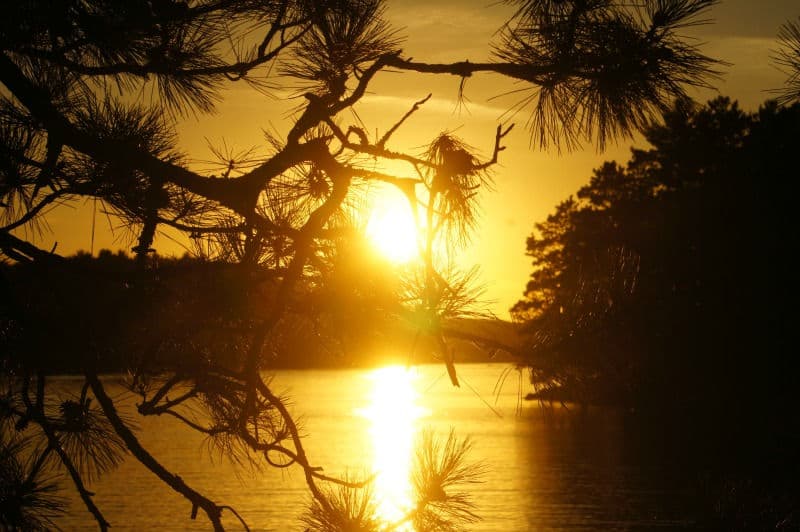 Watch the sun set from the Ash River Visitors Center