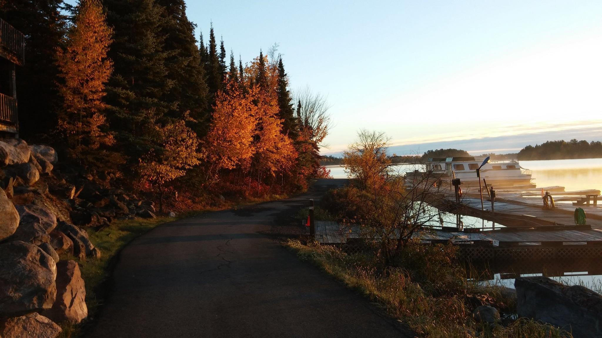 Fall colors to delight the eyes