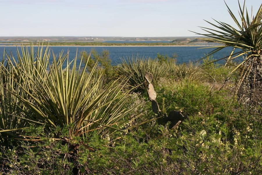 The desert landscape contrasts with the massive lake