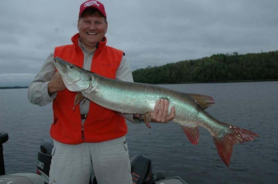 Fry up a huge meal, freshly caught