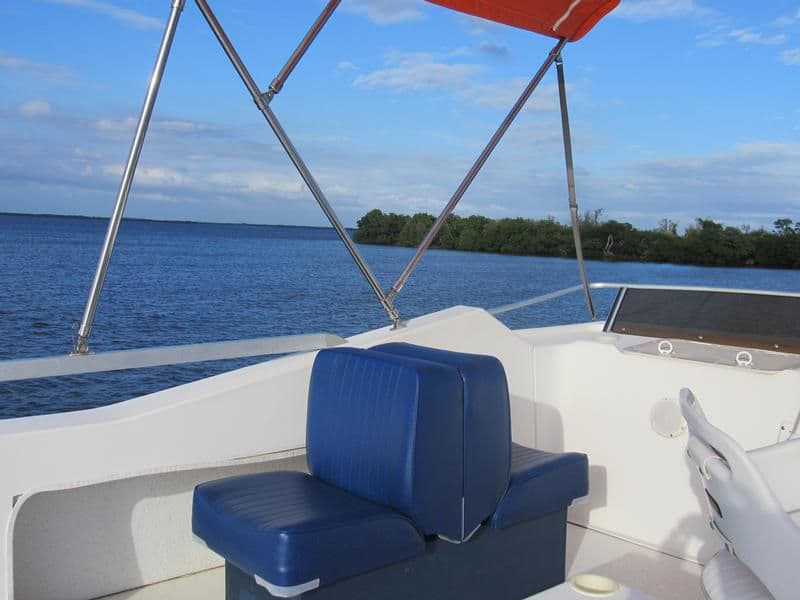 There's room for everyone