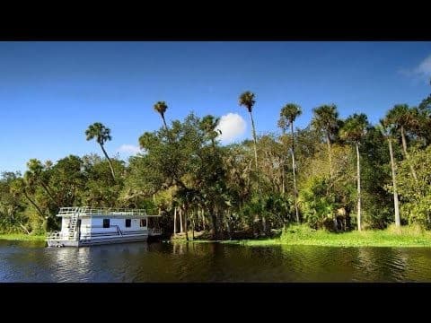 St Johns River