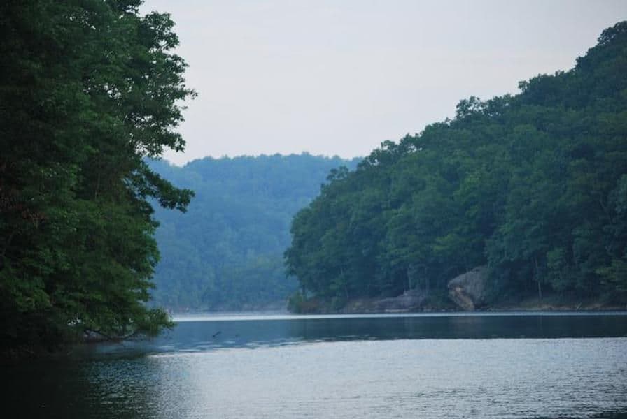 Thick, tall forests great for hiking surround Sutton Lake