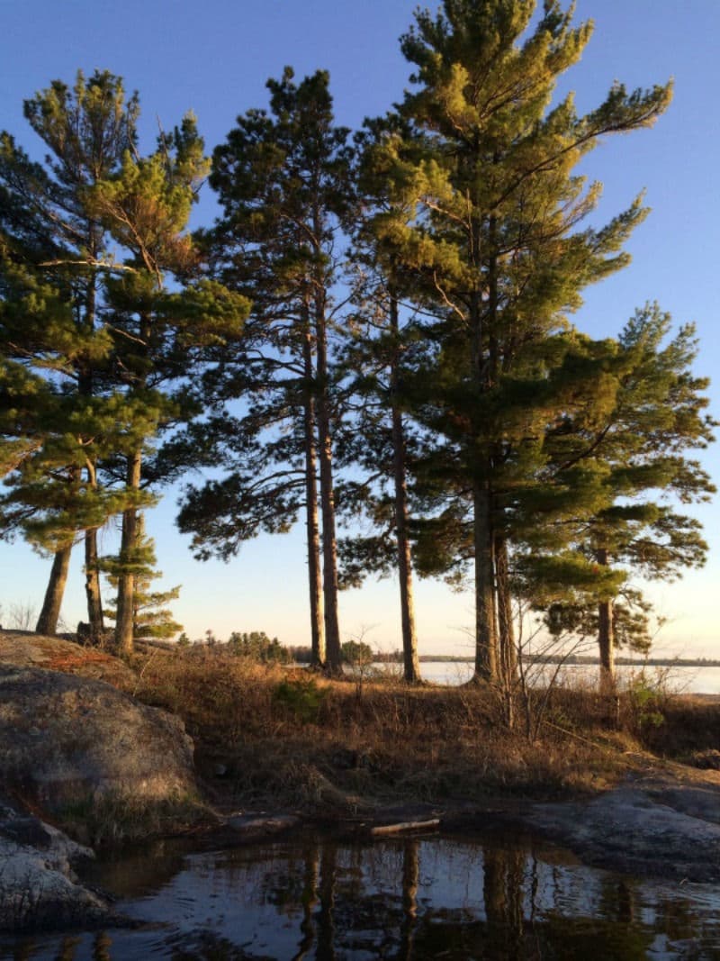 Moor your houseboat at Three Sisters on Lake Kabetogama