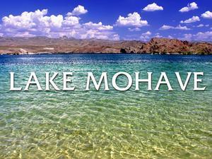 Experience Lake Mohave