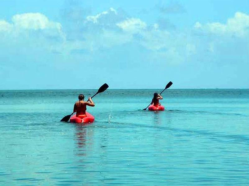 Paddle boat rentals are an ideal way to set out on the water