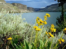 From the Waters of Lake Billy Chinook