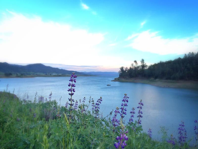 Enjoy the beauty of the great outdoors at Lake Berryessa