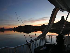 Top Lake Powell Catches - Fishing Tips 