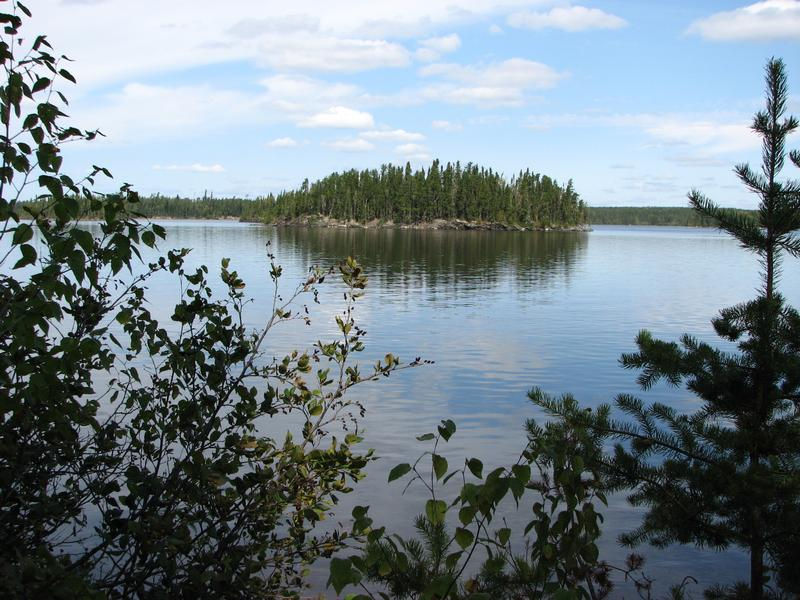 View from the trees at Lake of the Woods