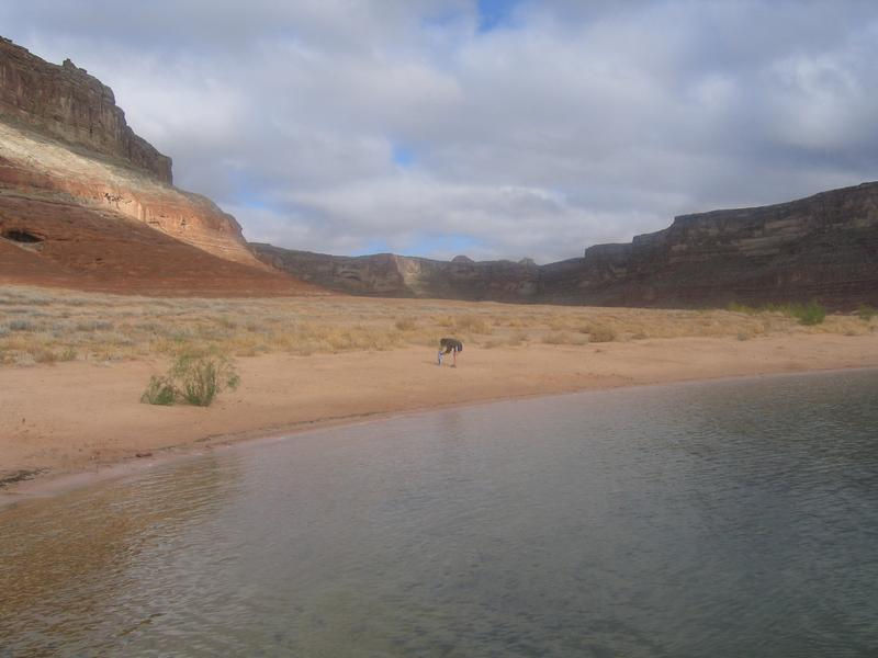 Lake Powell Houseboat Rentals