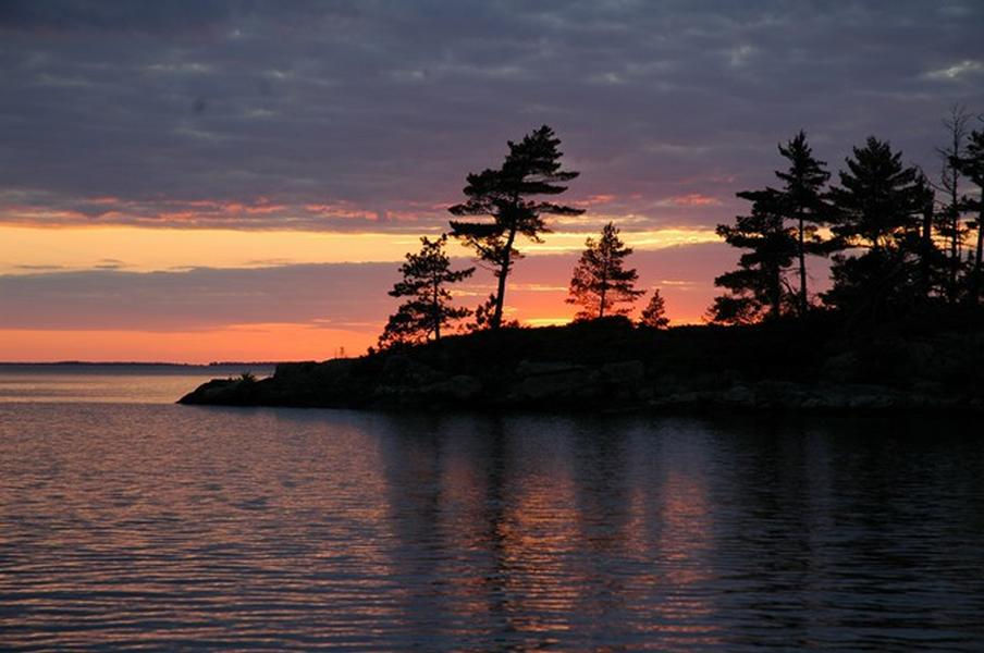 Silhouetted trees against the setting sun