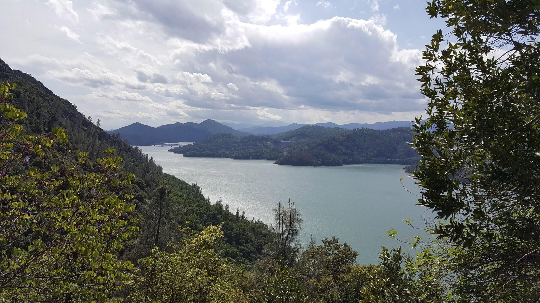 Shasta Lake in all it's glory!