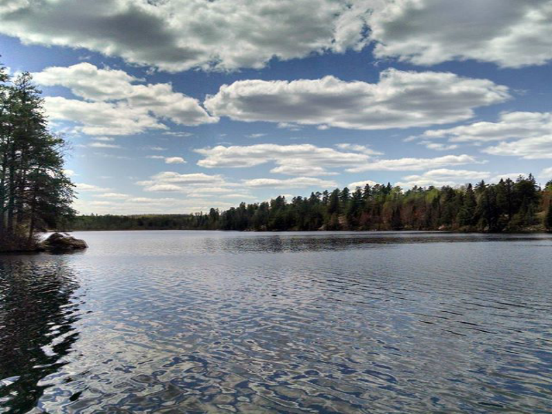Birch Lake in Minnesota!