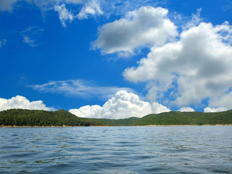 Kentucky Lake is surrounded by luscious green forests and lined with beaches Kentucky Lake is surrounded by luscious green forests and lined with beaches Photos