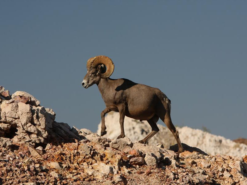 Get up close and personal with nature and its many inhabitants Photos