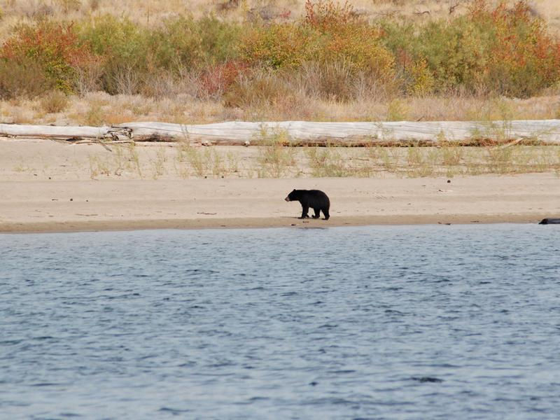 Local adorable wildlife Photos