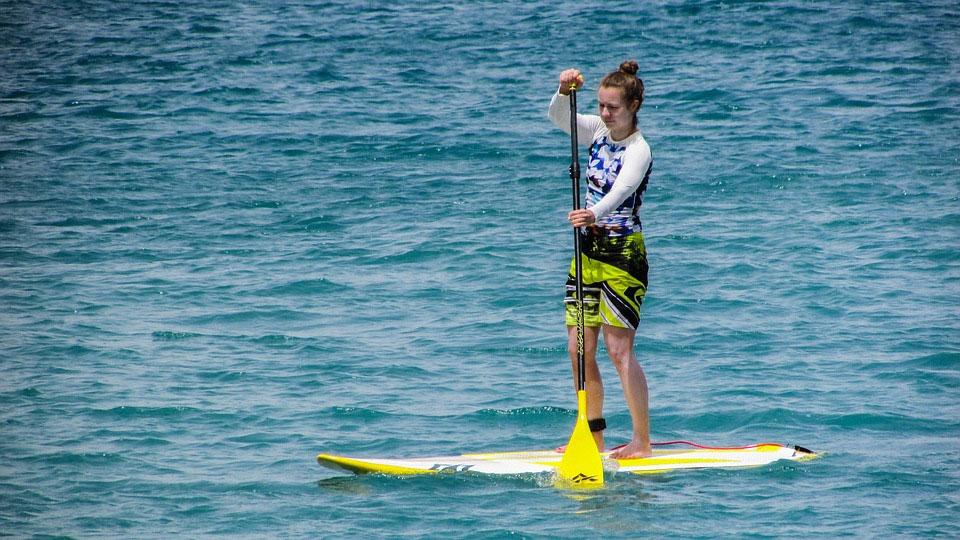 PaddleBoard