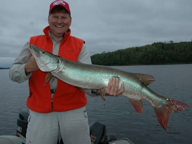 Fry up a huge meal, freshly caught Photos