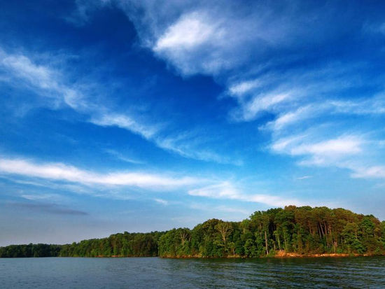 The forest and sky are a vibrant and stunning contrast