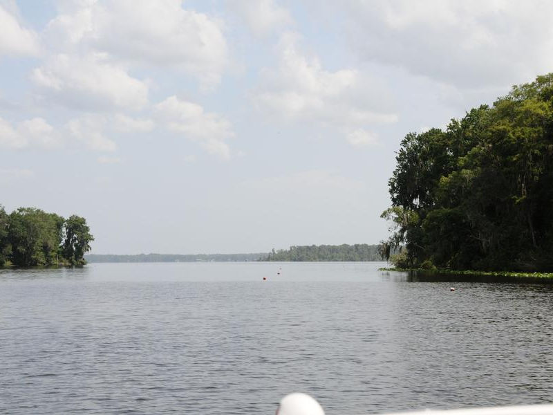 St. John's River Houseboat Photos Pictures