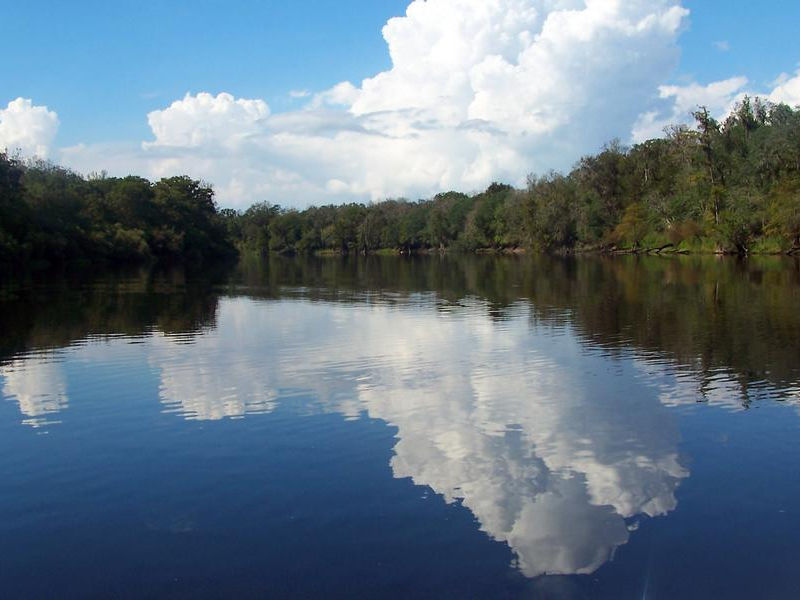 Suwannee River Houseboat Photos Pictures