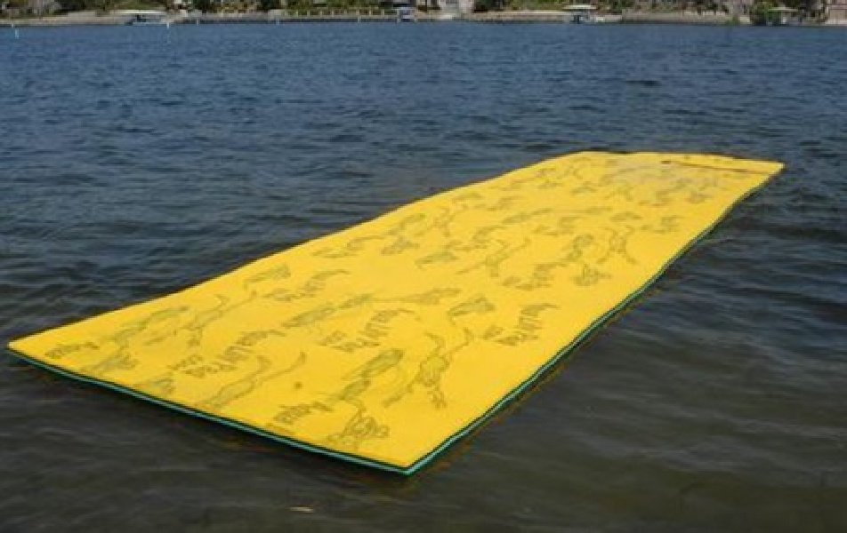 Lily Pad Lily Pad