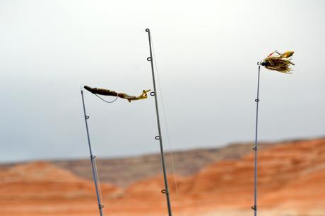 Fishing at Lake Powell